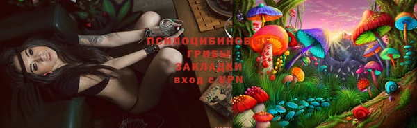ГАЛЛЮЦИНОГЕННЫЕ ГРИБЫ Володарск