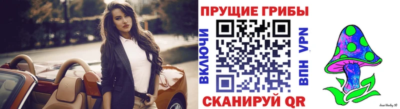 Галлюциногенные грибы GOLDEN TEACHER Купить закладки Тырныауз